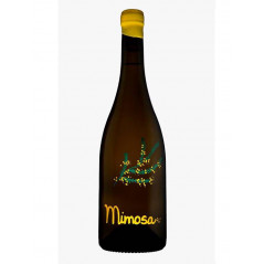 Mimosa