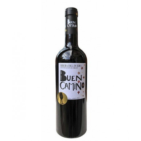 Buen Camino 2019