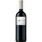 Aalto magnum 2022 Aalto magnum 2022