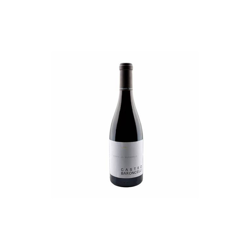 Quinta da Muradella Castro Baroncelli 18