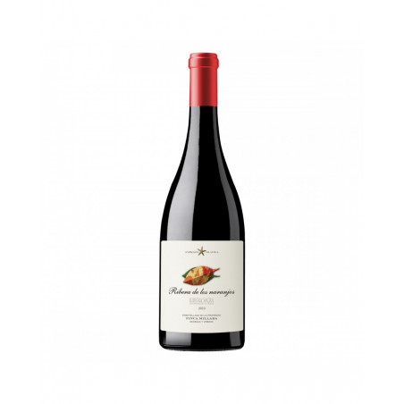 Ribera de los Naranjos 2021 (Tinto)