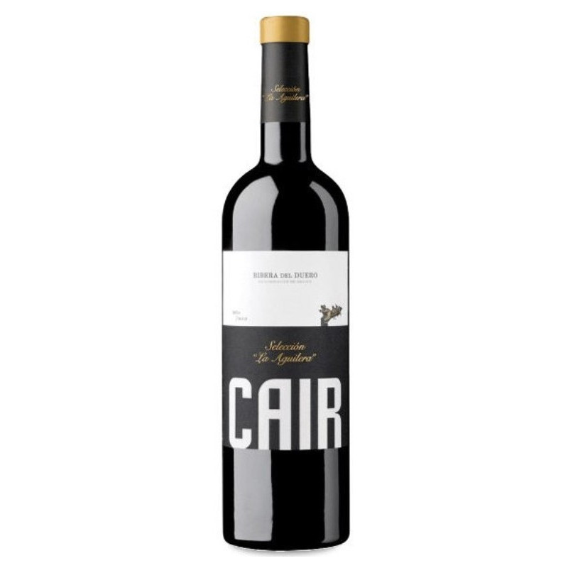 Cair Selección la Aguilera 2019