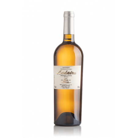 Ladairo Barrica 2024
