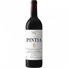 Pintia 2019