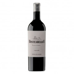 Monteabellón Magnum 2021