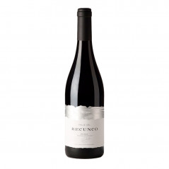 Valle del Recunco 2023 (Tinto)