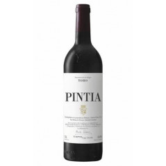 Pintia 2020