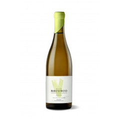 Valle del Recunco Blanco 2024