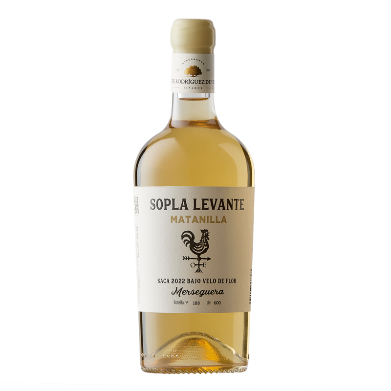 Sopla Levante Matanilla 2022