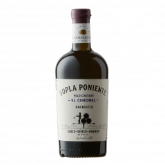 Sopla Poniente El Coronel 2024