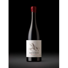 Valle del Recunco mencía minifundio 2023